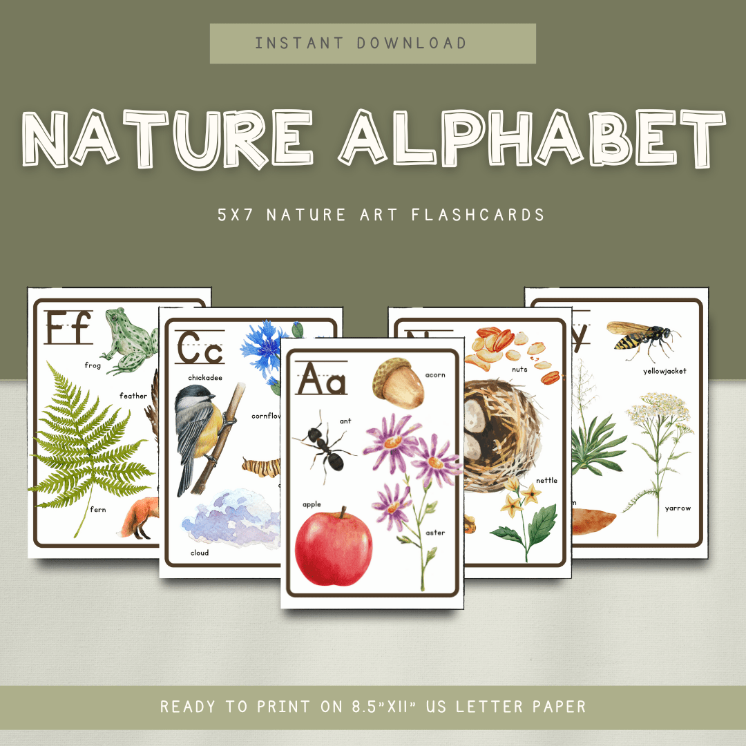 nature-alphabet-flashcards-digital-download-chickadees-wooden-toys for Free Printable Nature Alphabet Letters Nature Alphabet Flashcards - DIGITAL DOWNLOAD | Chickadees Wooden Toys for Free Printable Nature Alphabet Letters