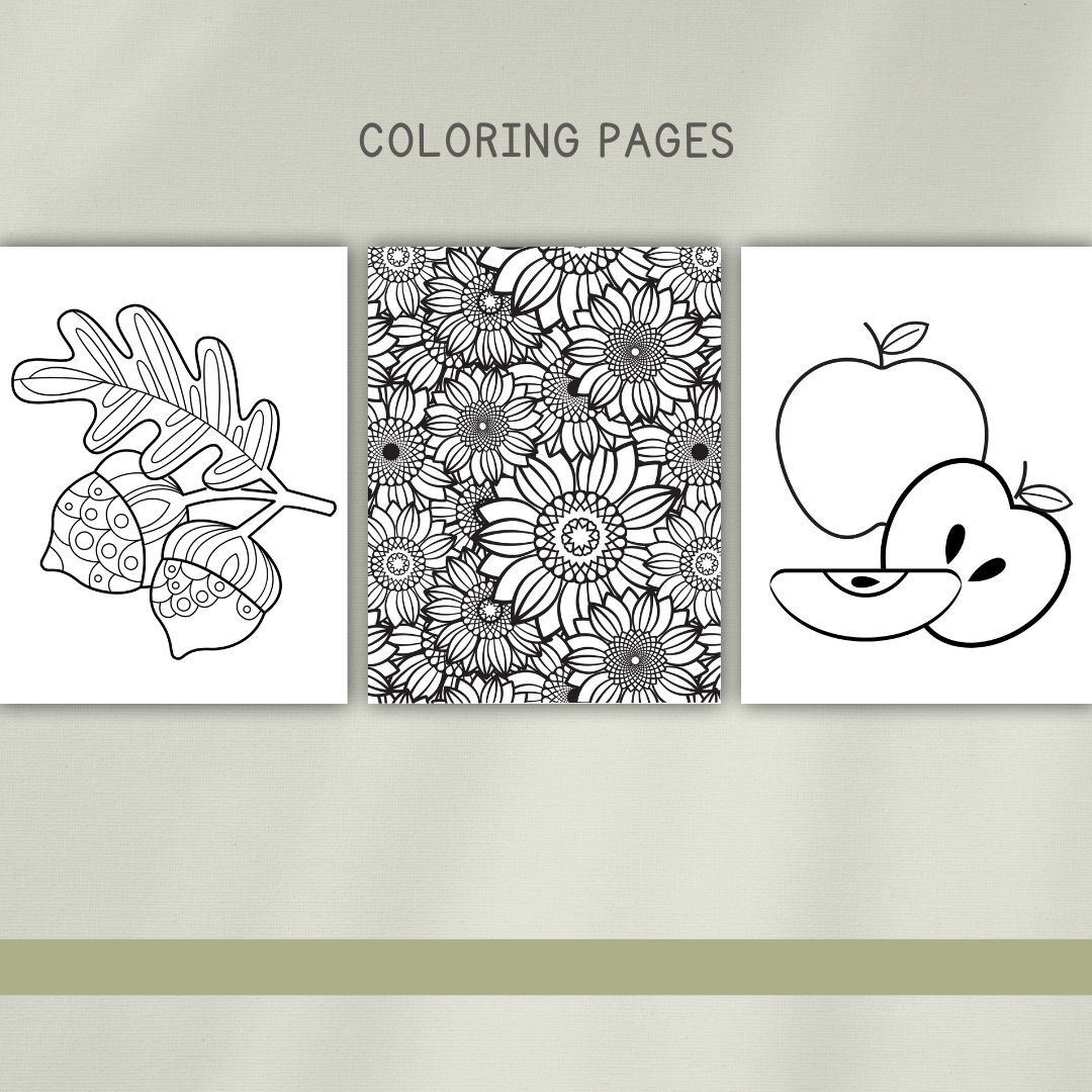 Seeds Preschool Activity Pages - Chickadees Wooden Toys