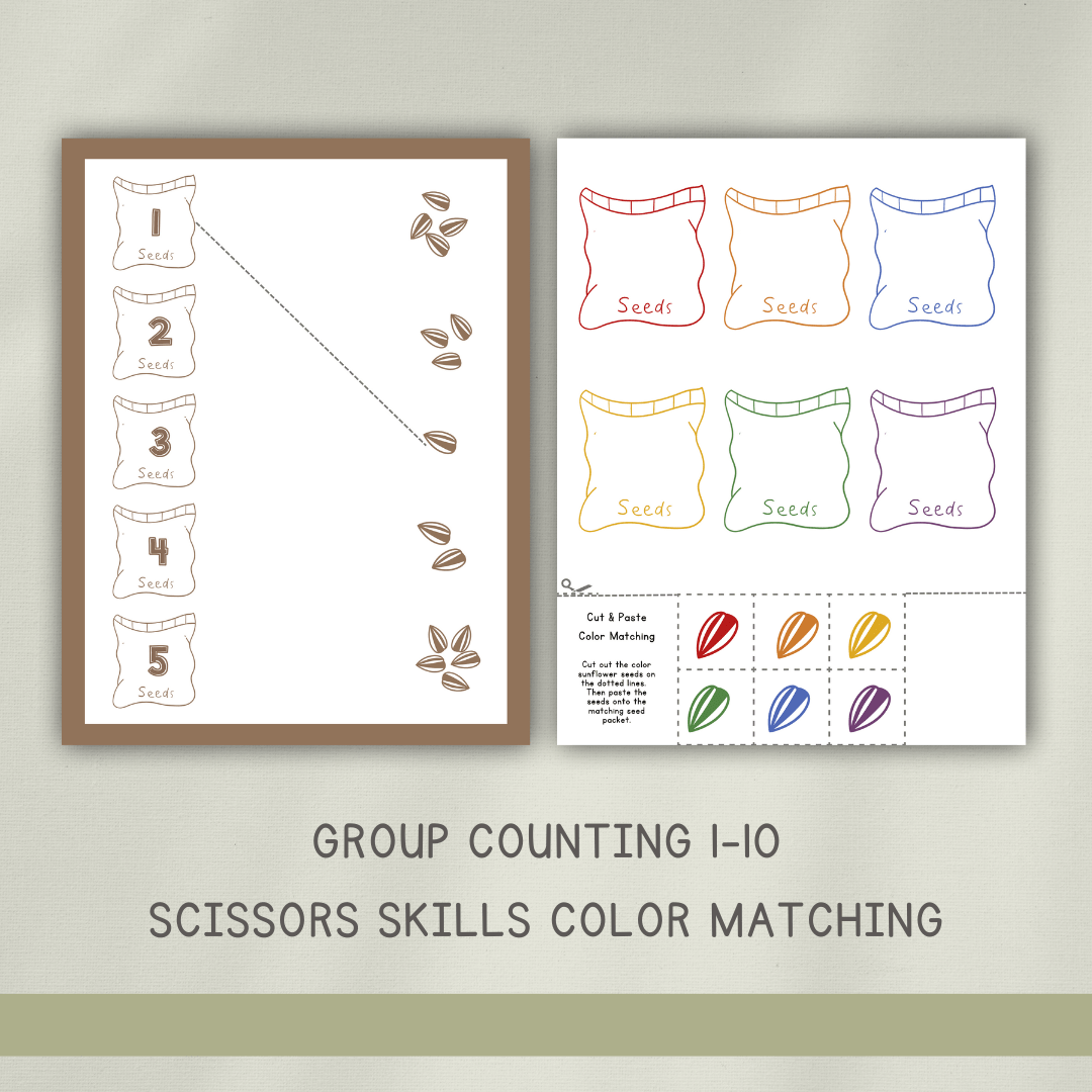 Seeds Preschool Activity Pages - Chickadees Wooden Toys