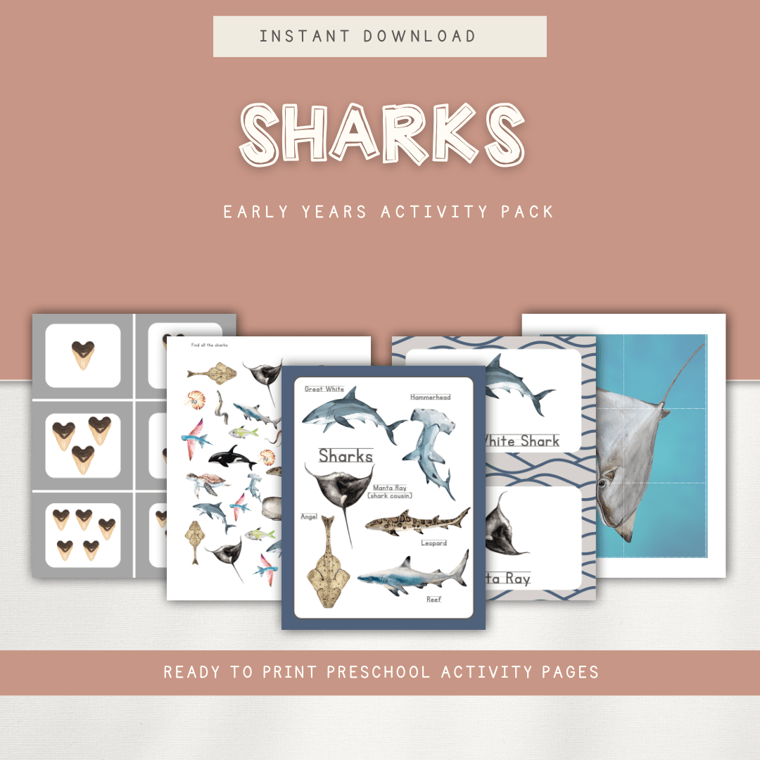 Sharks - Preschool Activity Pages - Chickadees Wooden Toys