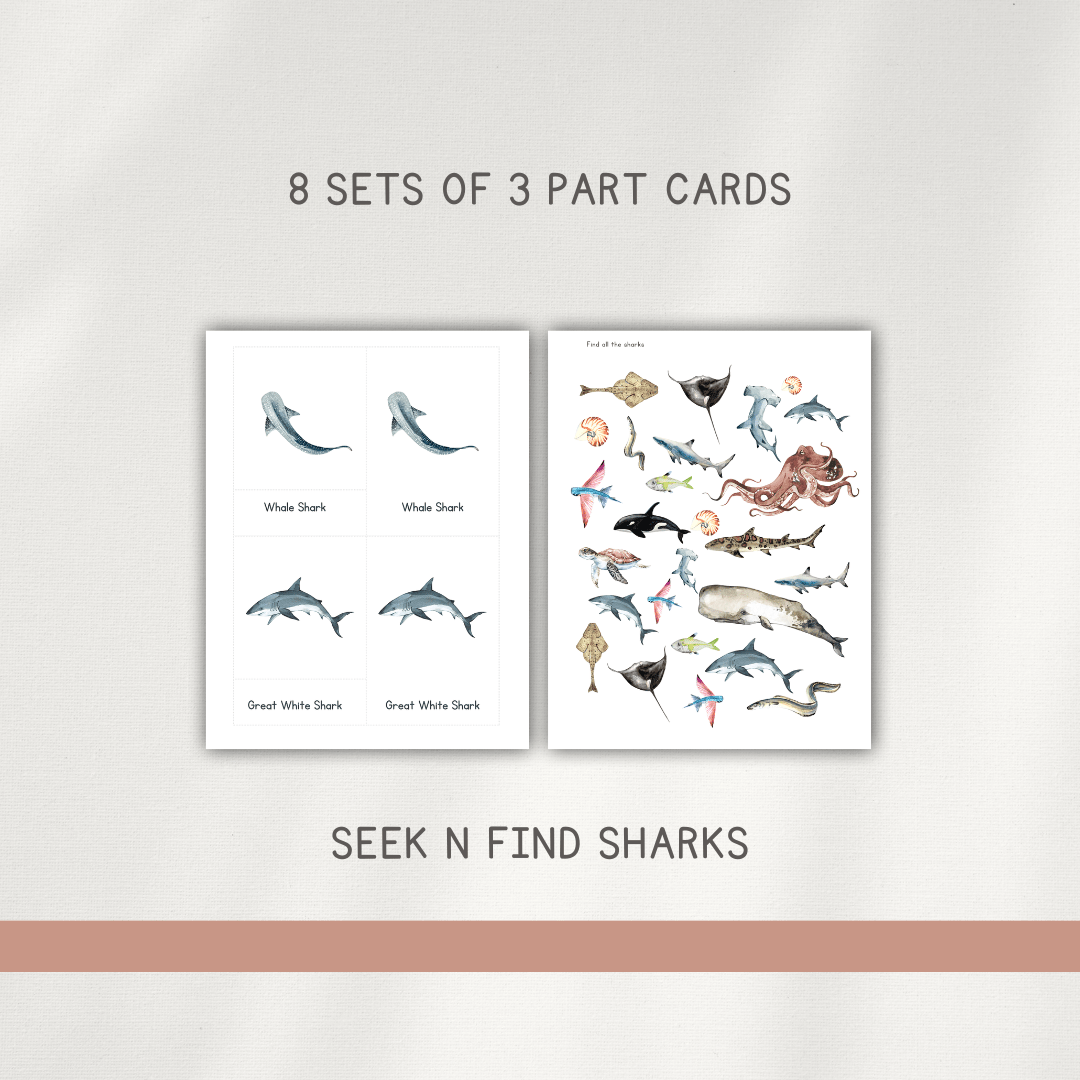 Sharks - Preschool Activity Pages - Chickadees Wooden Toys