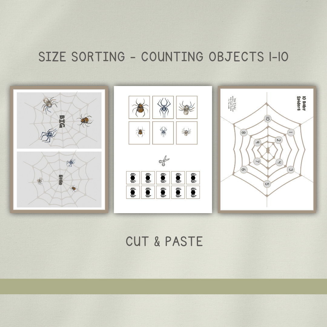 Spider Activity Pages - Chickadees Wooden Toys
