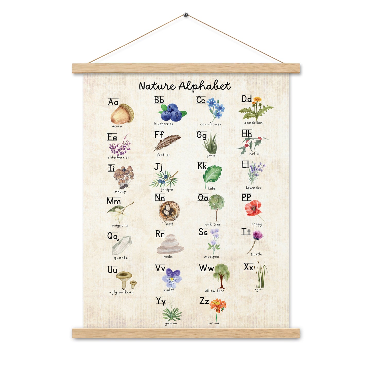 Nature Alphabet 2 - Matte 18x24 Poster with Wooden Hanger - Vintage Look - Chickadees Wooden Toys