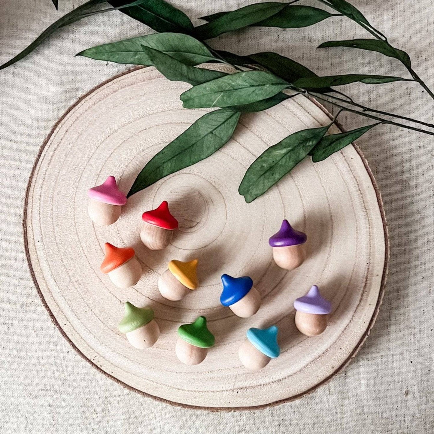 10 Rainbow Acorns - Chickadees Wooden Toys