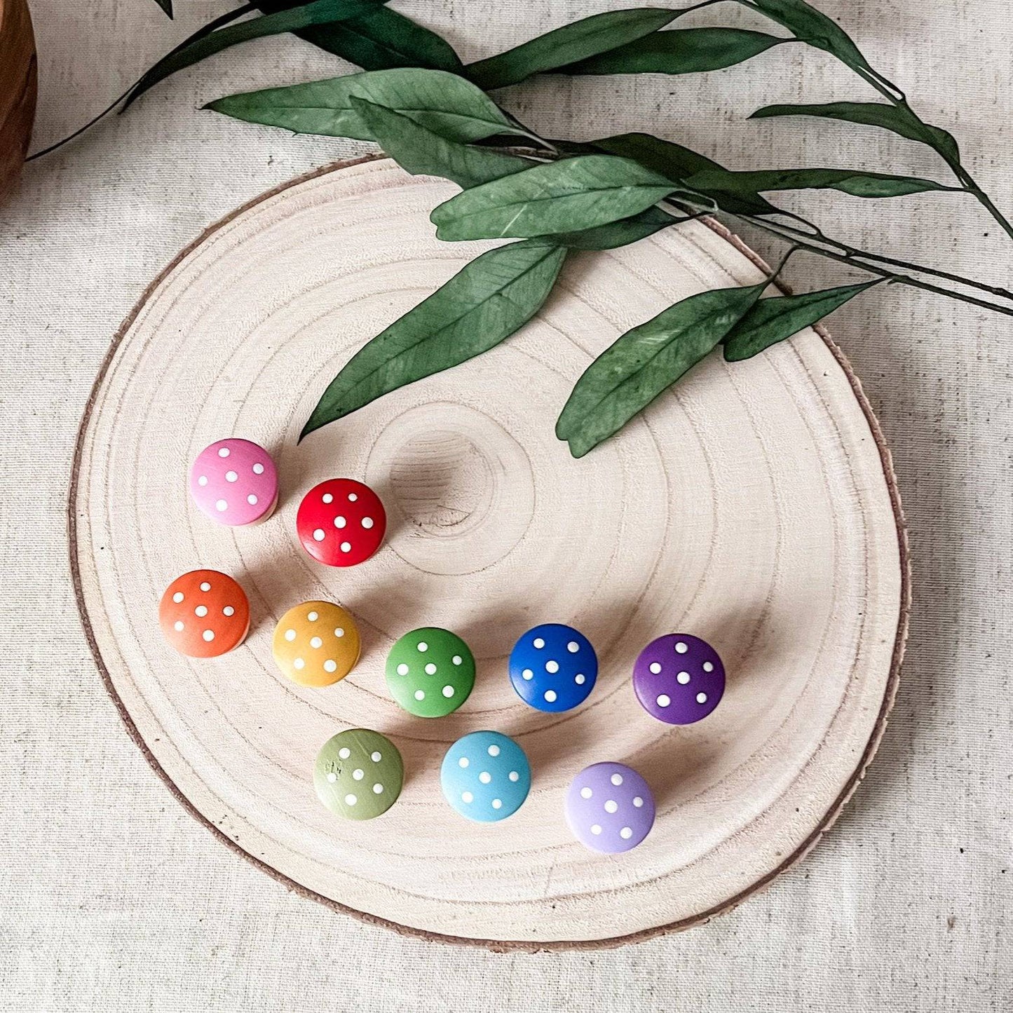 10 Rainbow Mushrooms - Chickadees Wooden Toys