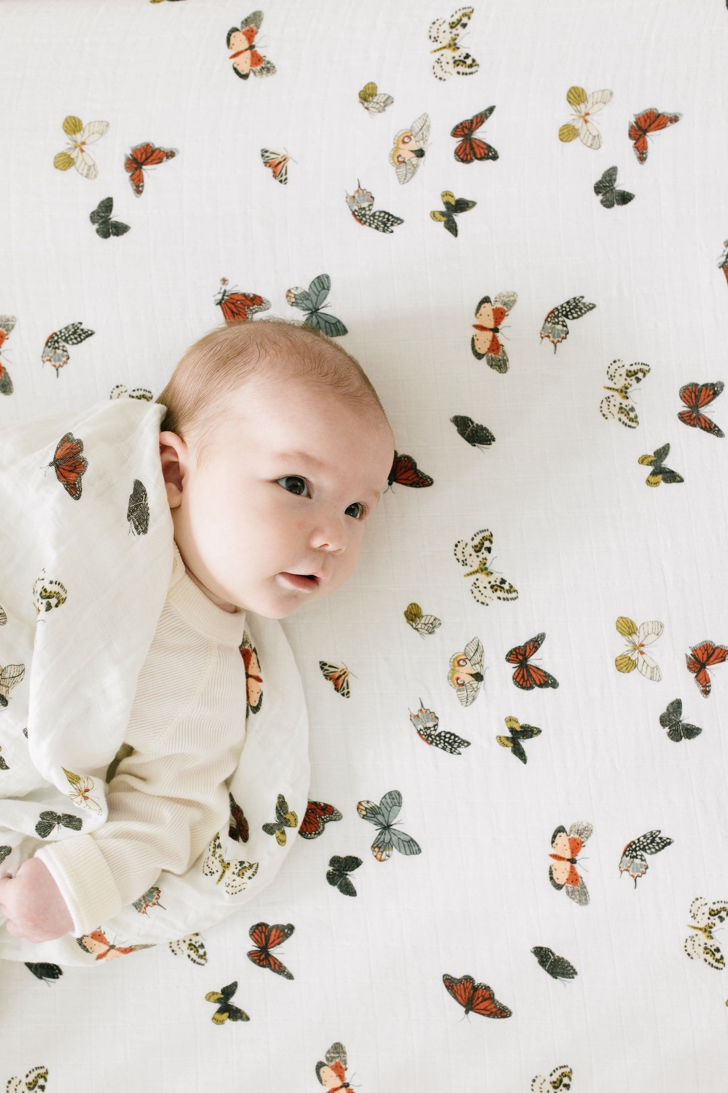 Butterfly Migration Crib Sheet - Chickadees Wooden Toys
