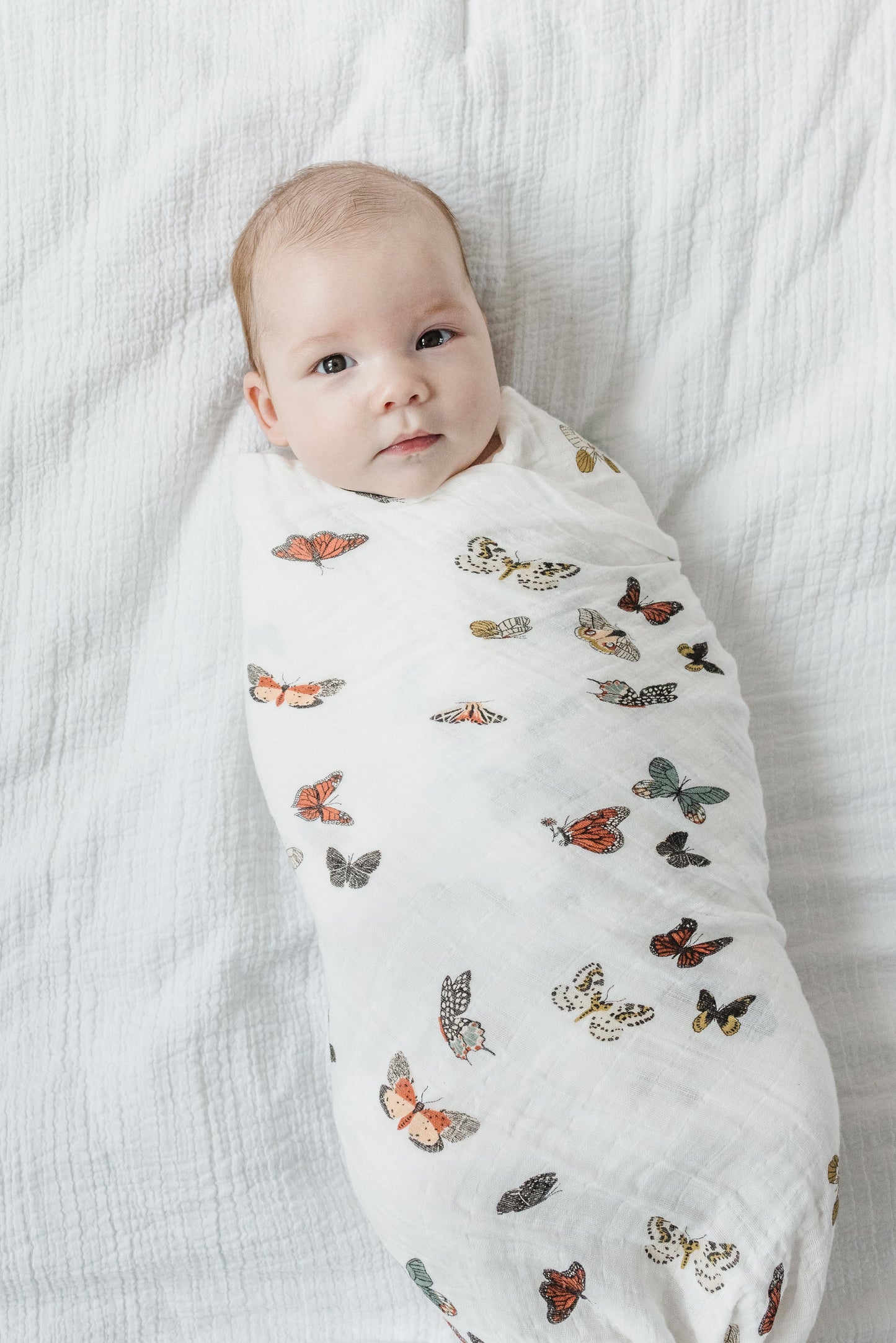 Butterfly Migration Swaddle - Chickadees Wooden Toys