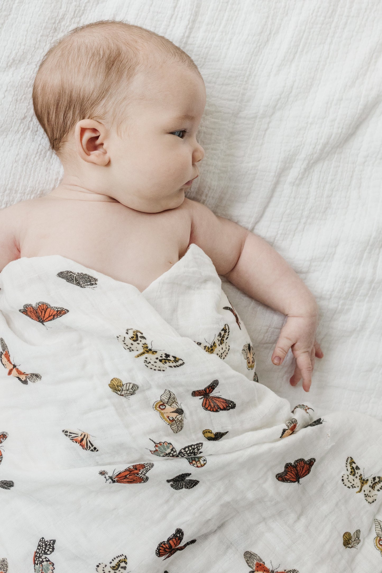 Butterfly Migration Swaddle - Chickadees Wooden Toys