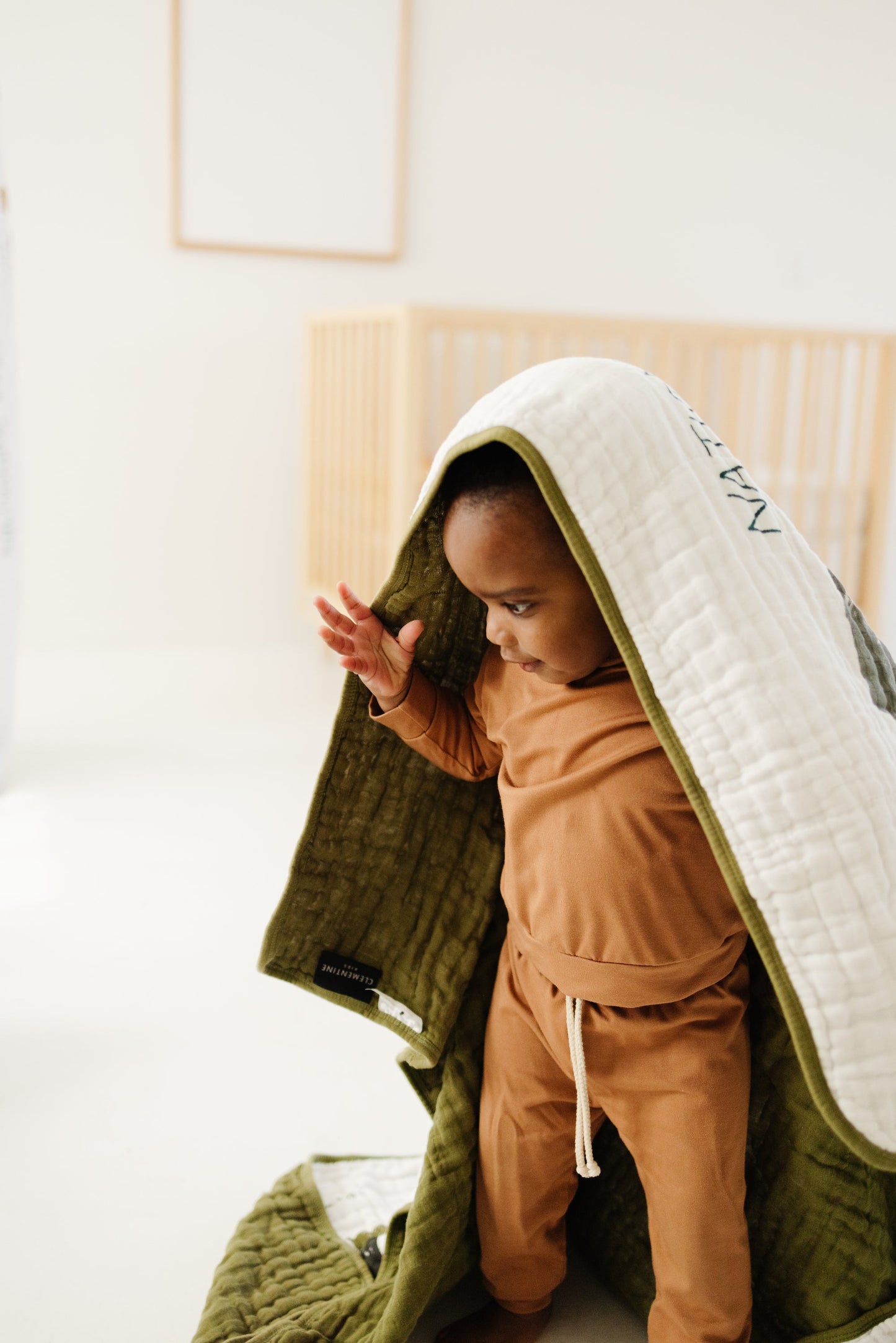 National Parks Throw Blanket - Chickadees Wooden Toys