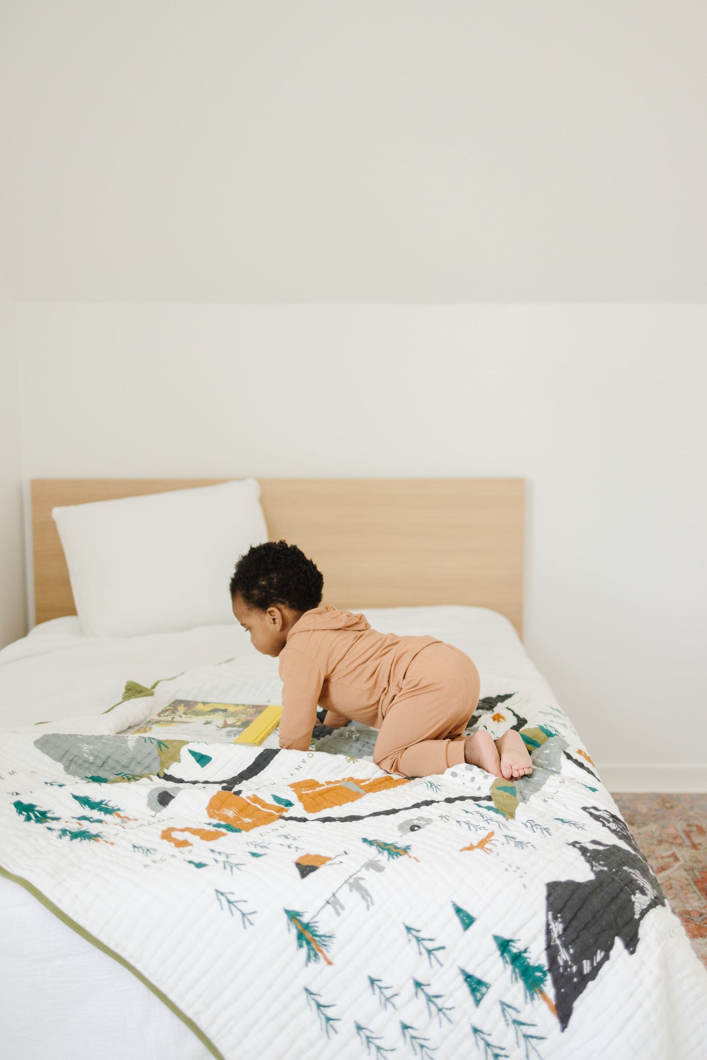 National Parks Throw Blanket - Chickadees Wooden Toys