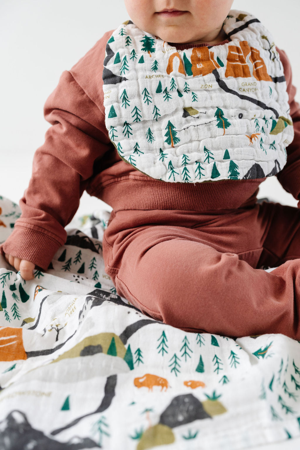 National Parks Bib - Chickadees Wooden Toys
