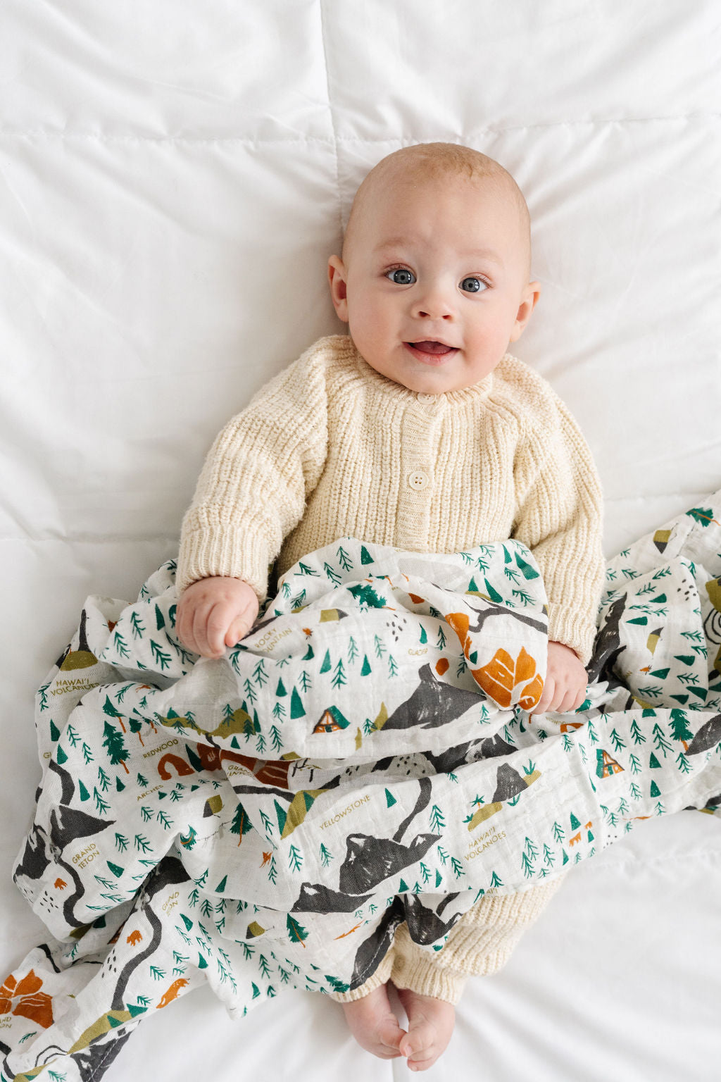 National Parks Swaddle (Mini Pattern) - Chickadees Wooden Toys
