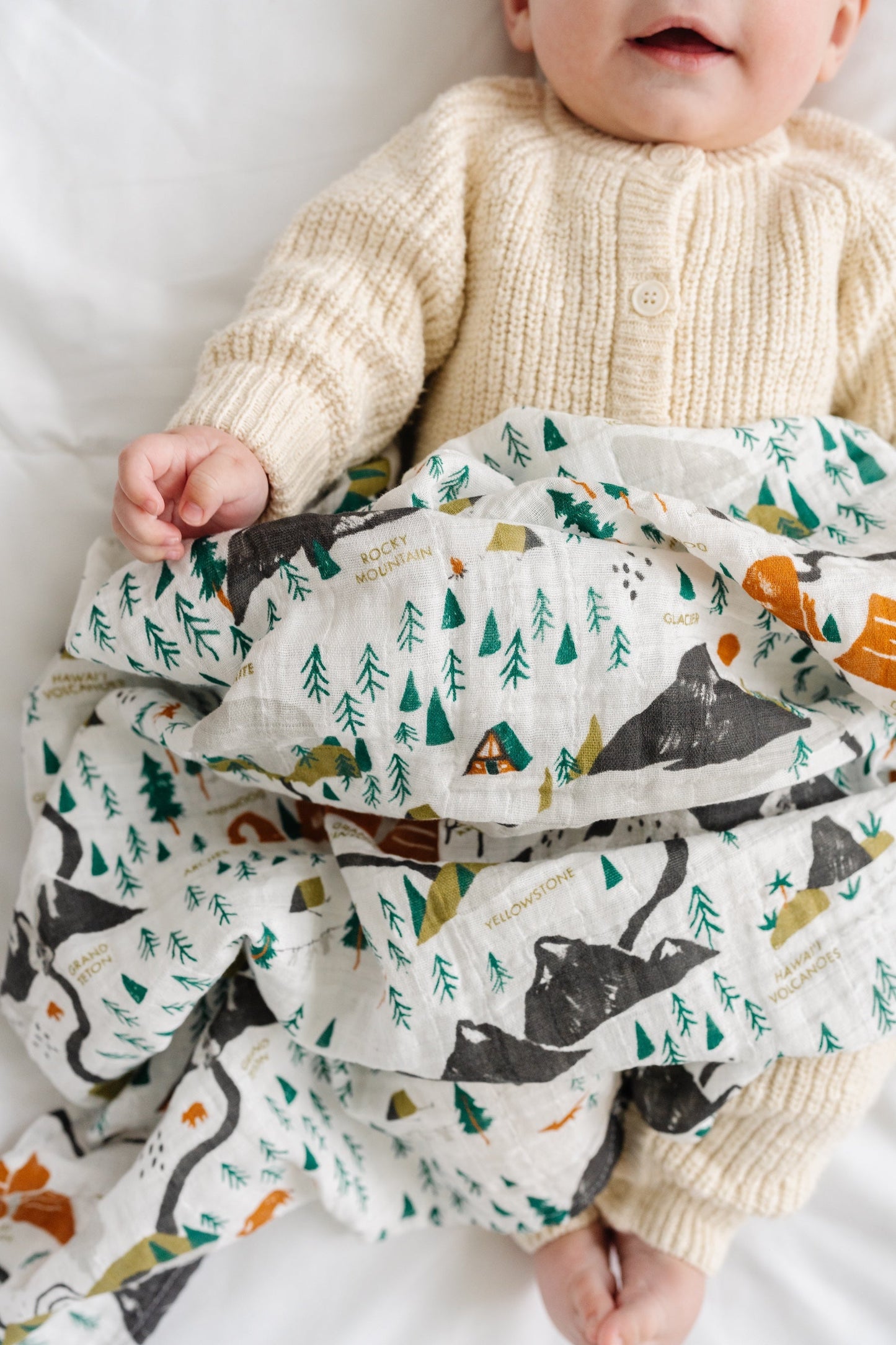 National Parks Swaddle (Mini Pattern) - Chickadees Wooden Toys