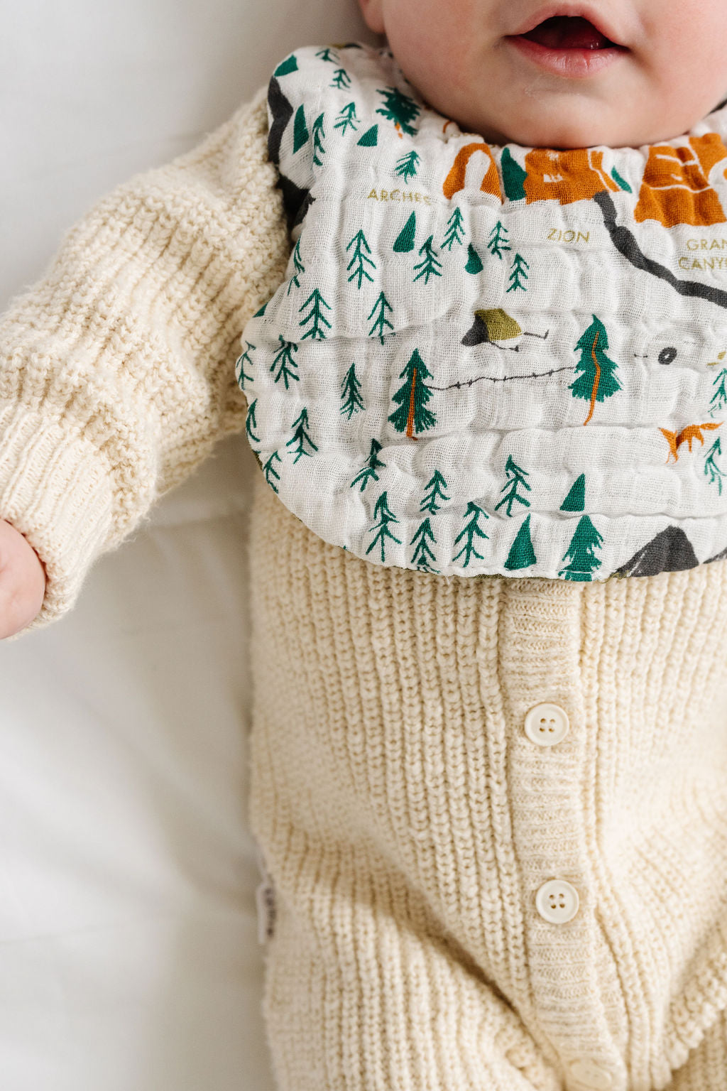 National Parks Bib - Chickadees Wooden Toys