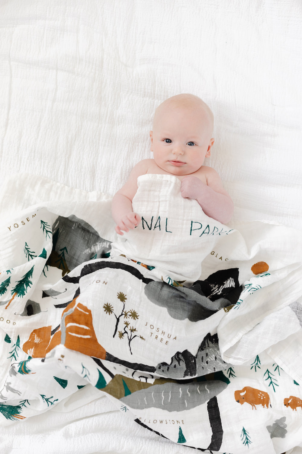 National Parks Swaddle - Chickadees Wooden Toys