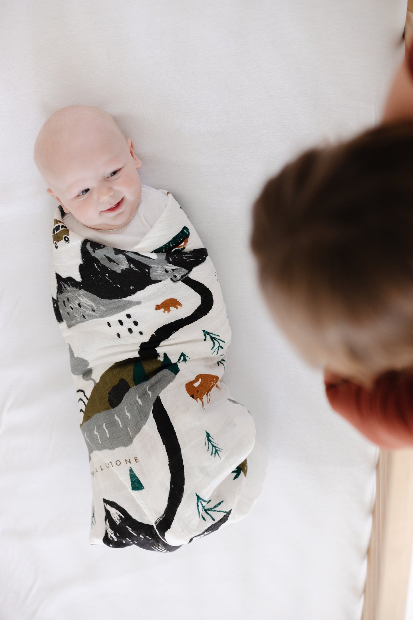 National Parks Swaddle - Chickadees Wooden Toys