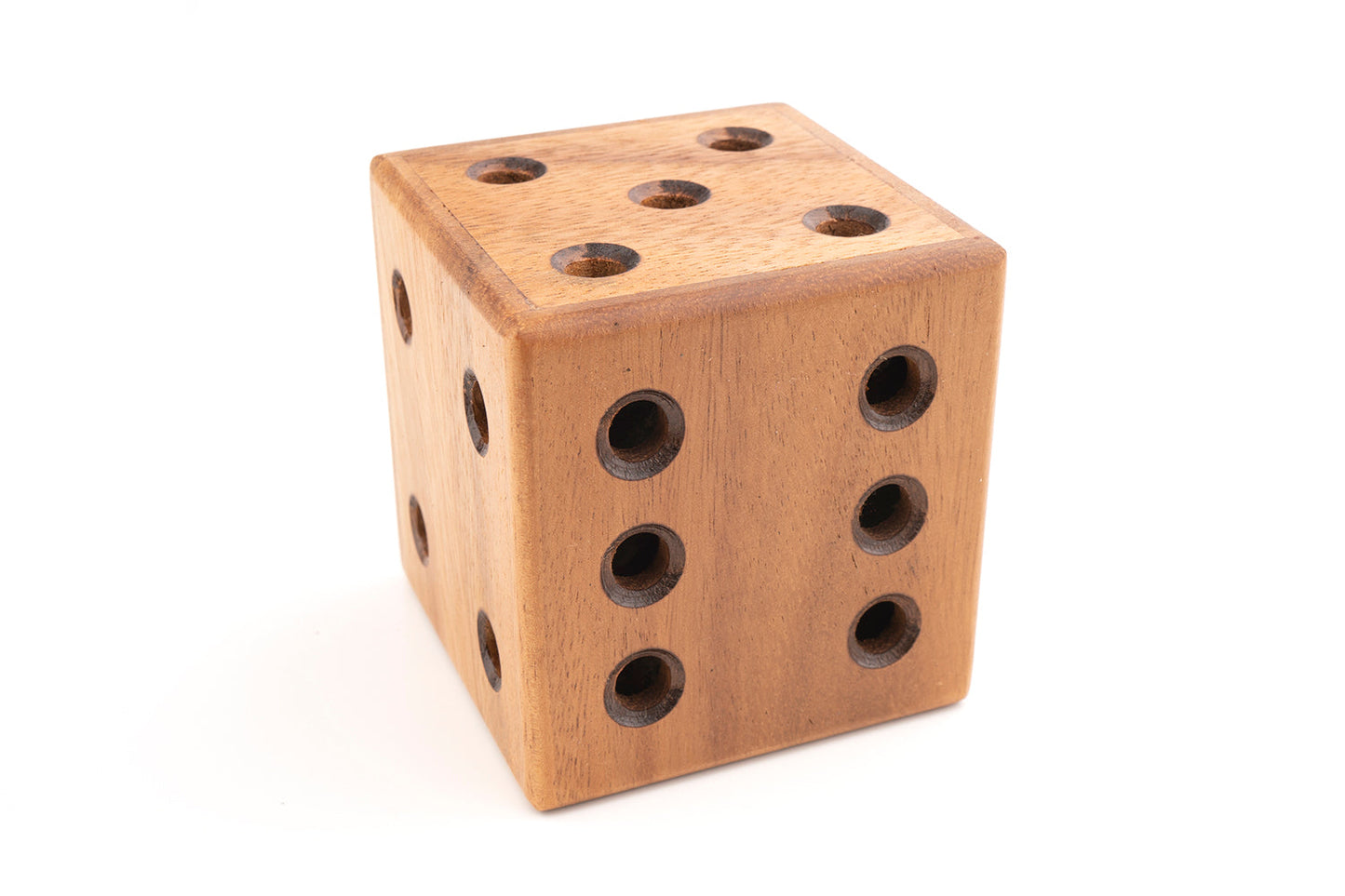 Dice Maze Puzzle - Wooden Brain Teaser Puzzle - Chickadees Wooden Toys