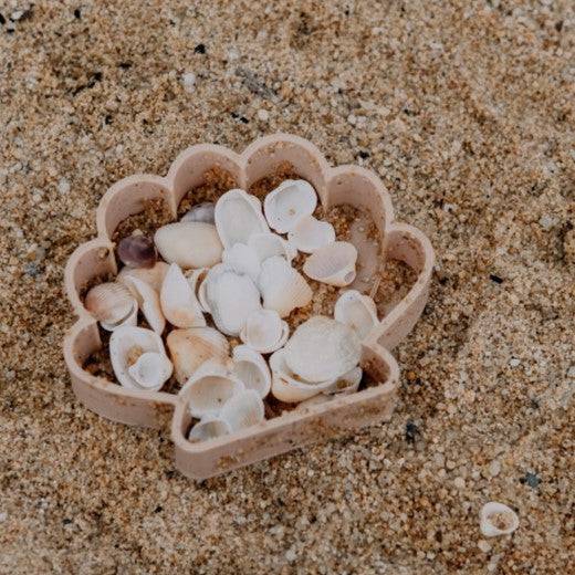 Seashell Eco Mould - Chickadees Wooden Toys