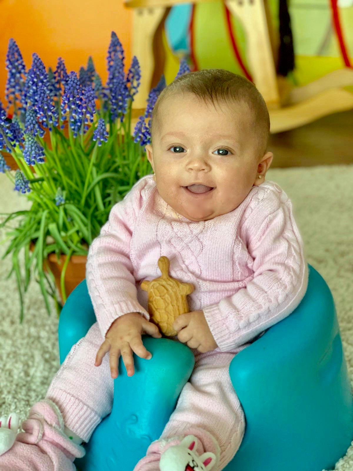 Organic Wooden Rattle toy Turtle