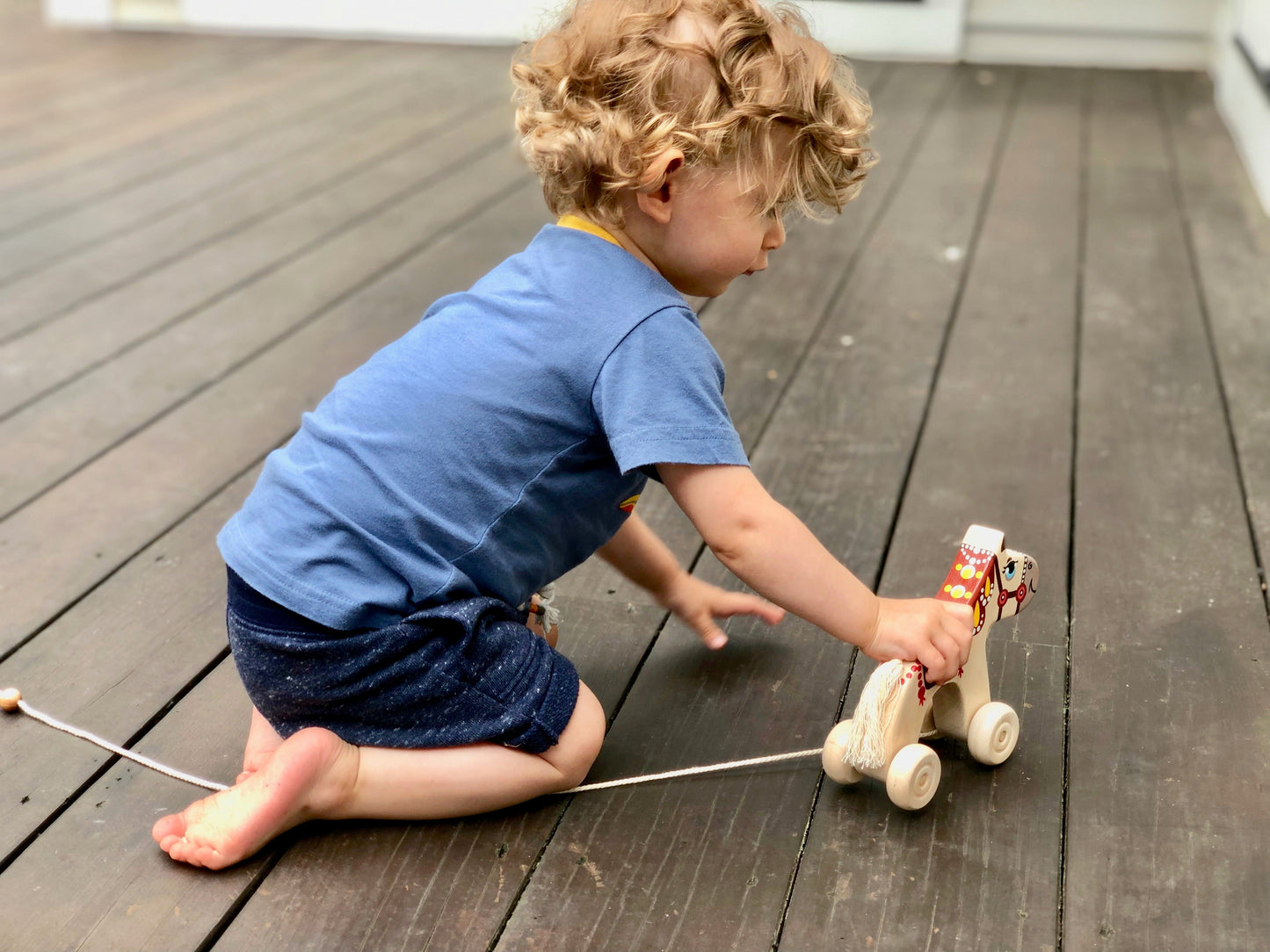 Wooden Horse Pull toy painted