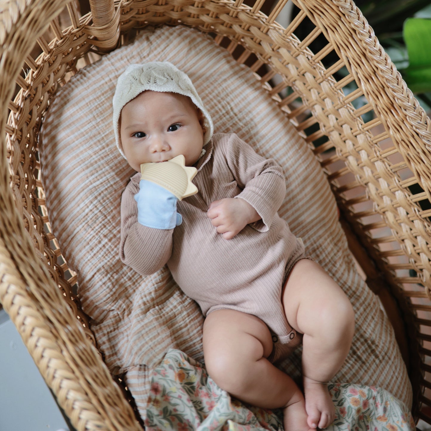 Extra Soft Muslin Crib Sheet - Chickadees Wooden Toys