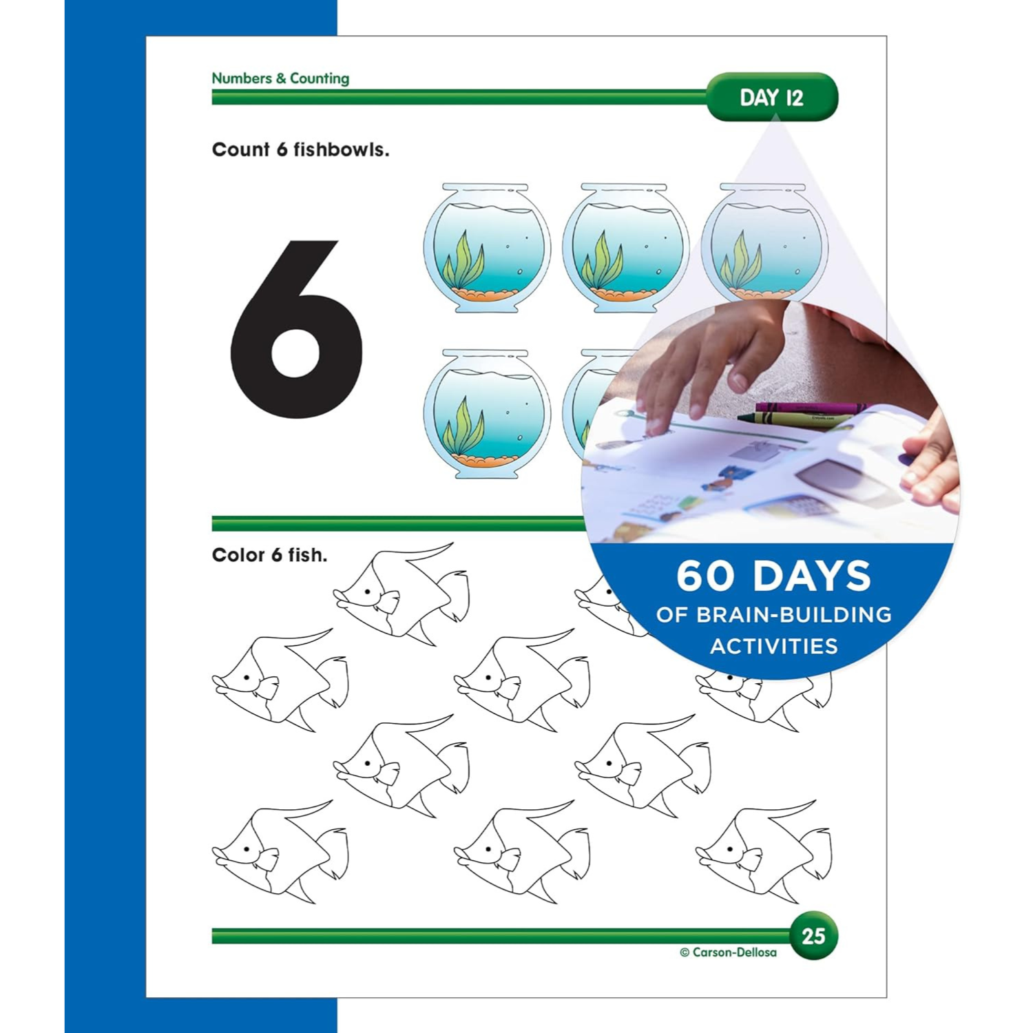 Summer Bridge Activities PreK-K Workbooks, Ages 4-5 (Spiral Bound) - Chickadees Wooden Toys