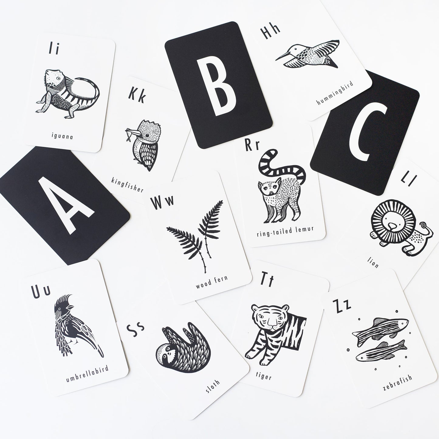 Jungle Alphabet Cards - Chickadees Wooden Toys