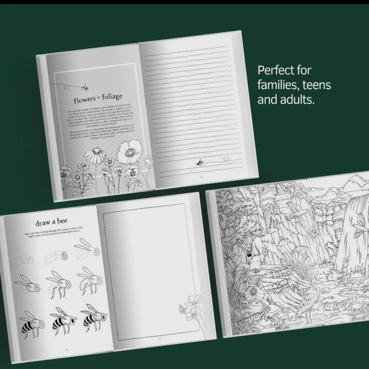 A Wild Year - Nature Journal - Your Wild Books - Chickadees Wooden Toys