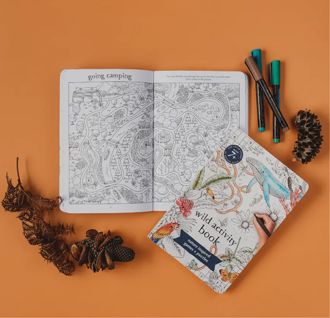 Wild Activity Book - Your Wild Books - Chickadees Wooden Toys