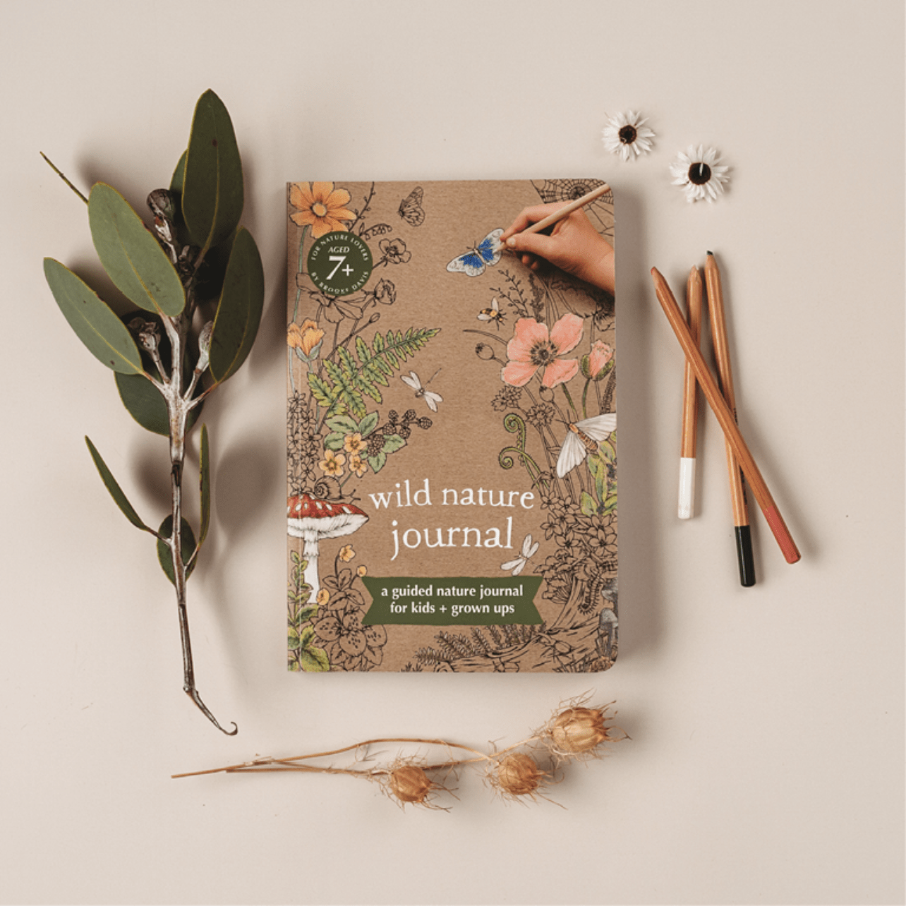 Wild Nature Journal - Your Wild Books - Chickadees Wooden Toys