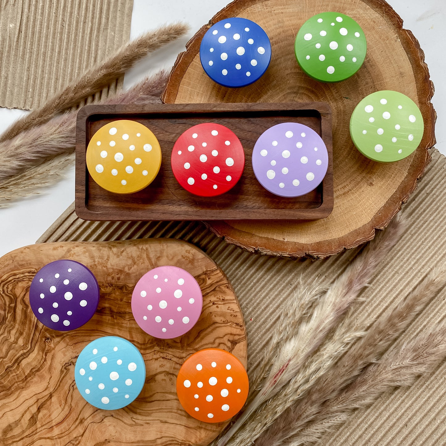 10 Large Rainbow Mushrooms - Chickadees Wooden Toys
