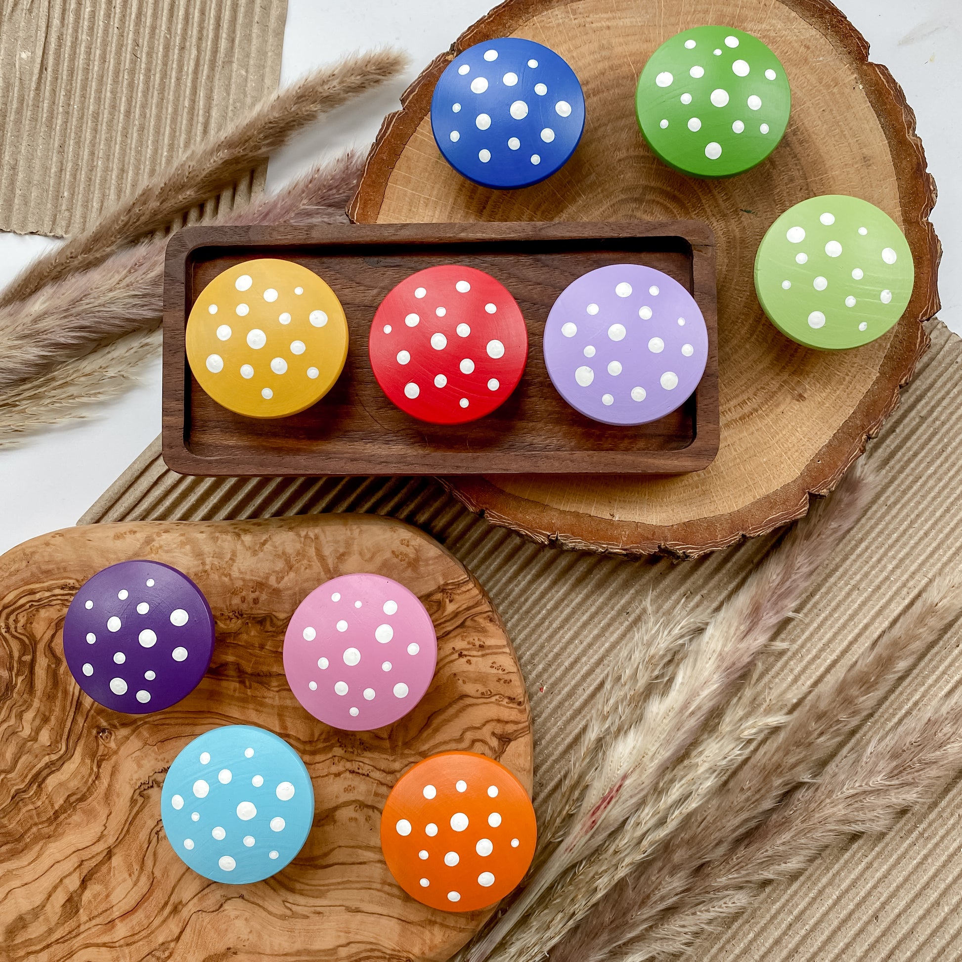 10 Large Rainbow Mushrooms - Chickadees Wooden Toys
