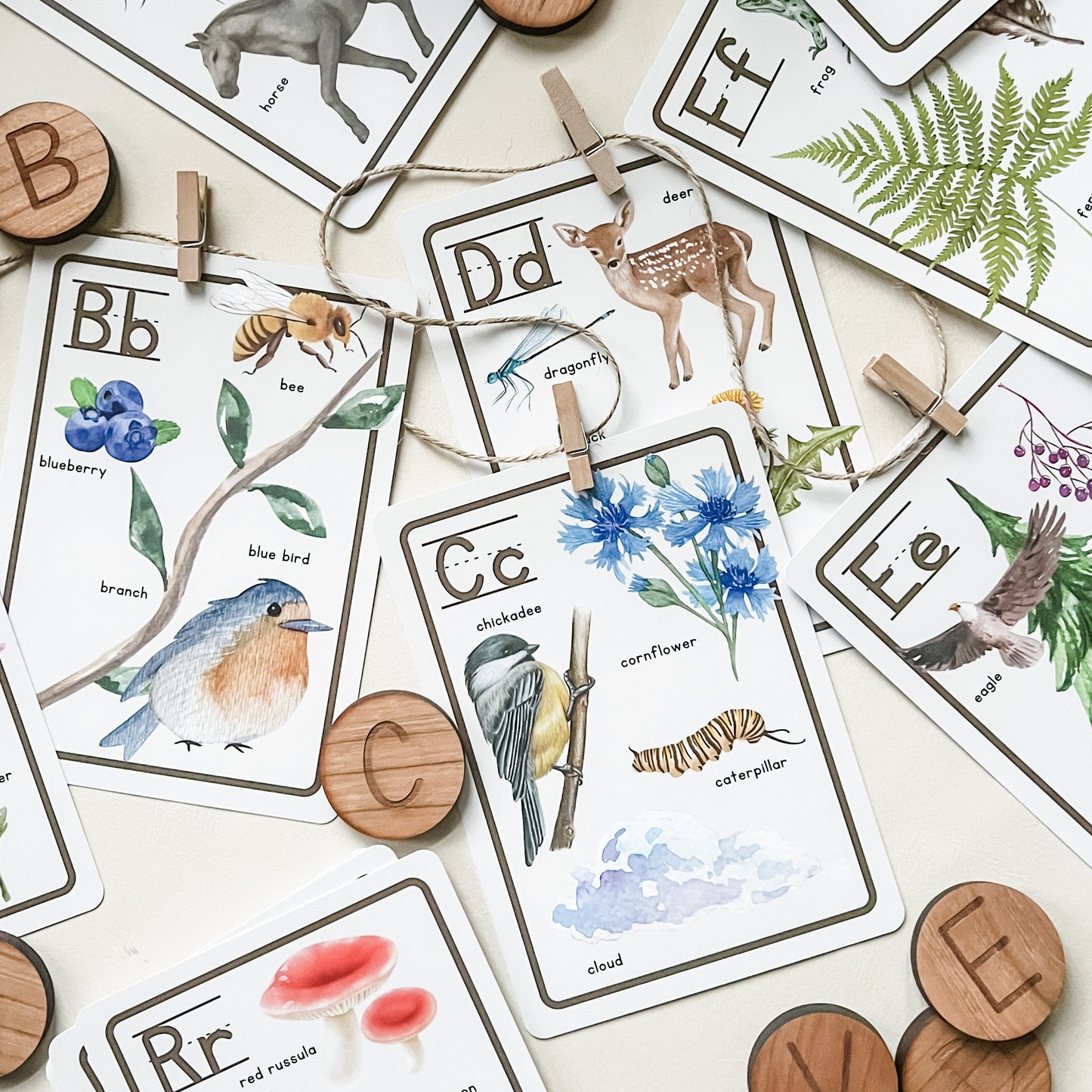 Nature Alphabet Flashcards - Chickadees Wooden Toys
