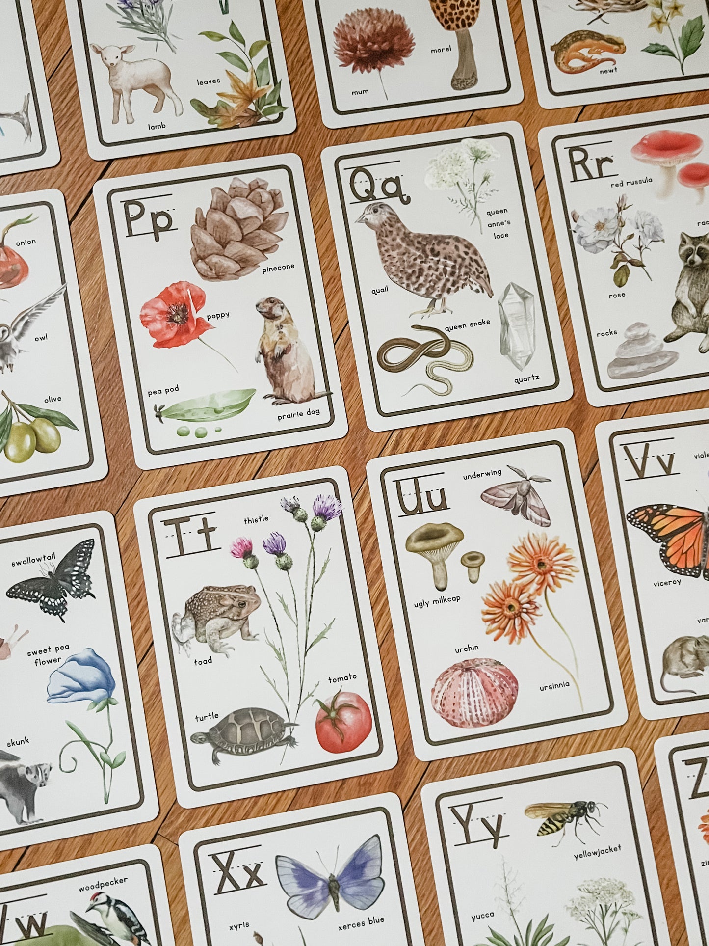 Nature Alphabet Flashcards - Chickadees Wooden Toys