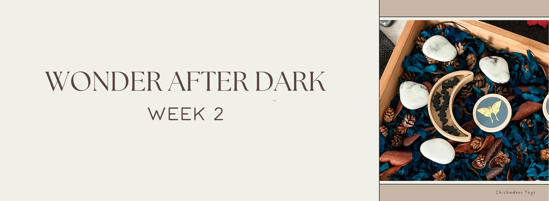 Helping Children Feel Safe in the Dark