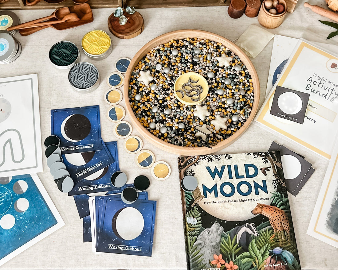 February's Wild Moon Madness: Activities That Rock!