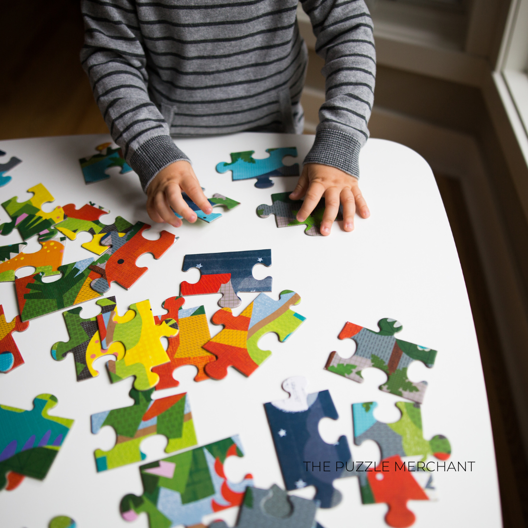 The Puzzle Merchant