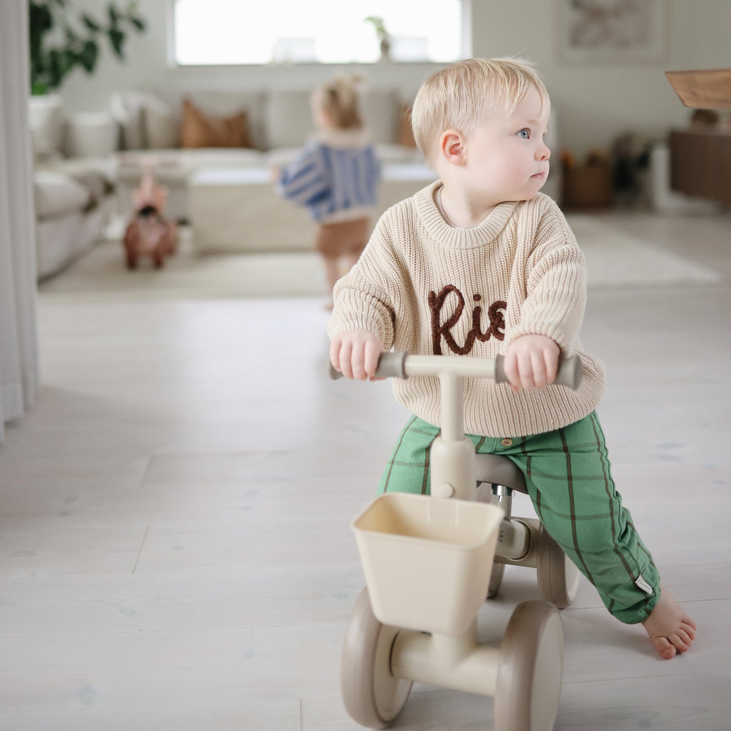 Mini Toddler Bike