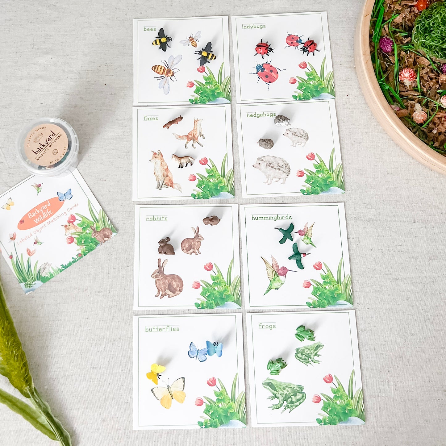 Read And Play - Early Learning Subscription Box 2026