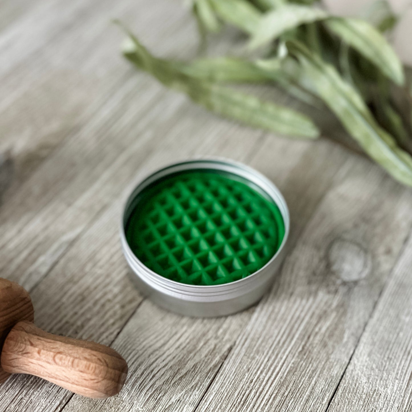 Garden Mint Scented - Grass Green Play Dough