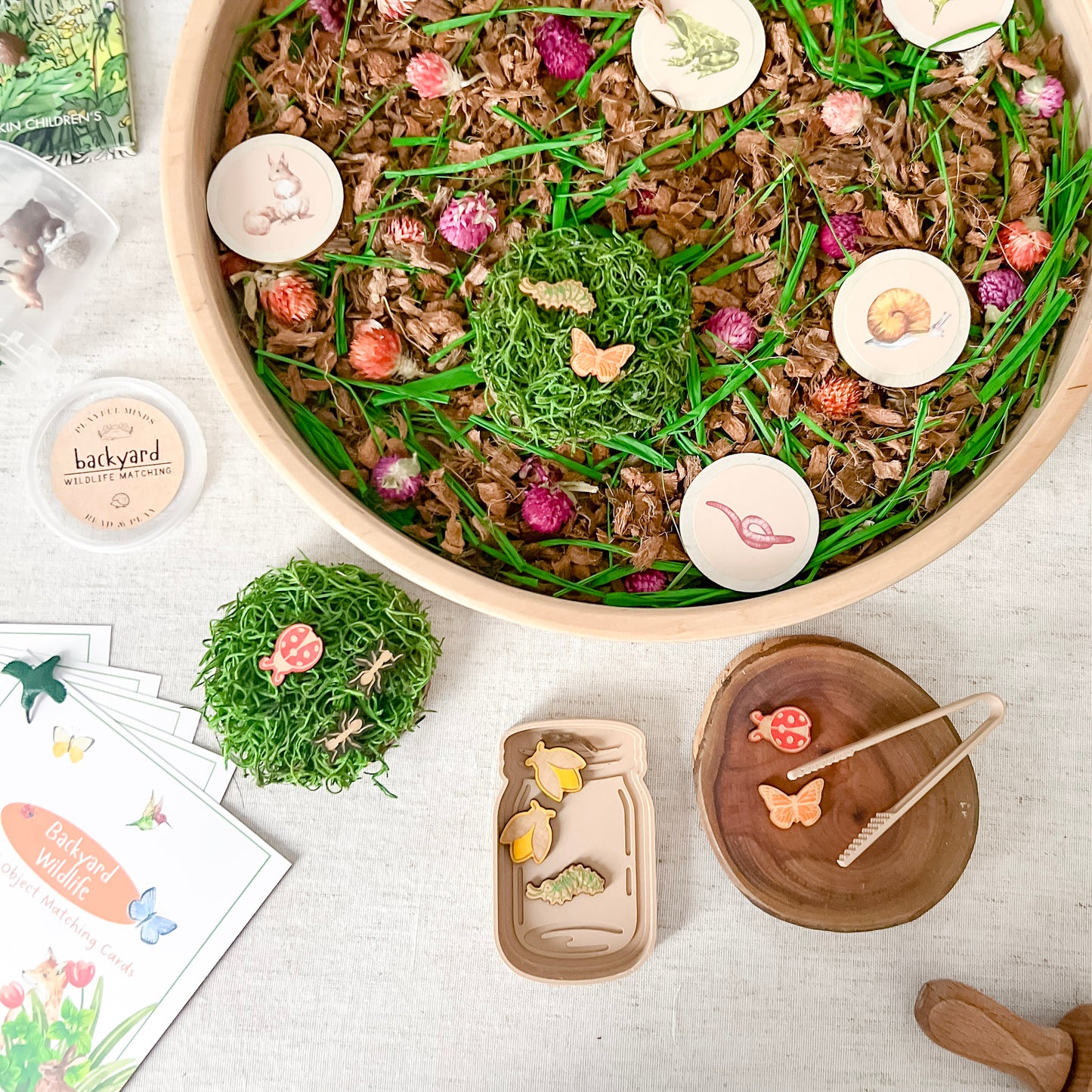 Dig and Play - Early Learning Subscription Box 2026