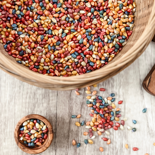 Autumnal Play Corn Bucket