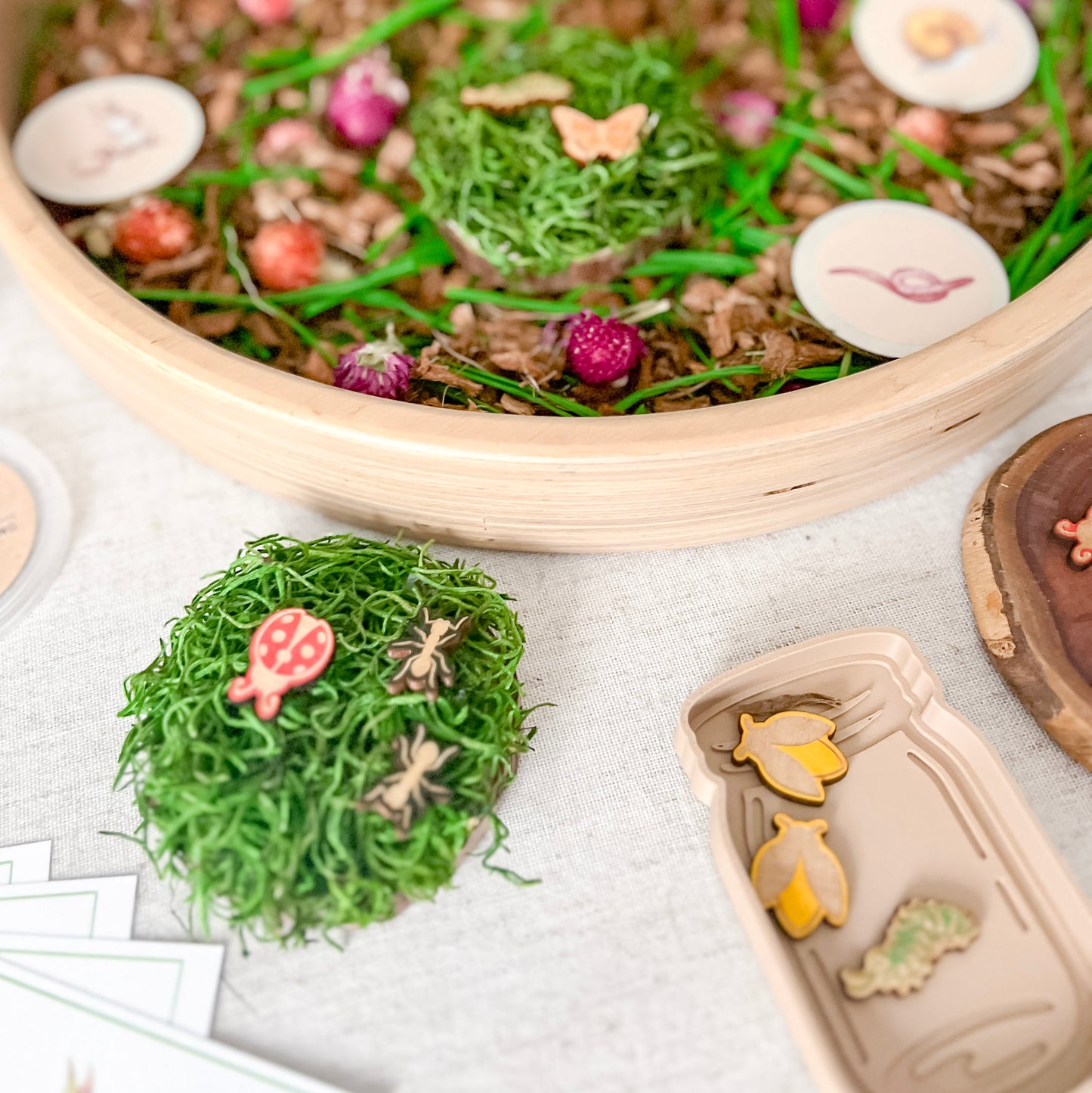 Dig and Play - Early Learning Subscription Box 2026