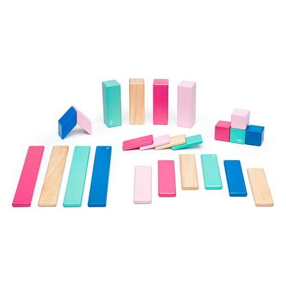 24-Piece Set <br>Magnetic Wooden Blocks <br>Tegu Classics - Chickadees Wooden Toys