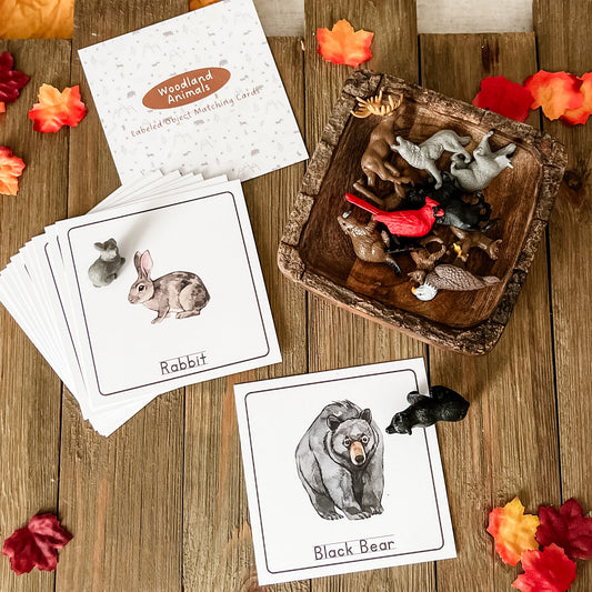 Woodland Animal Matching - Cards and Figures