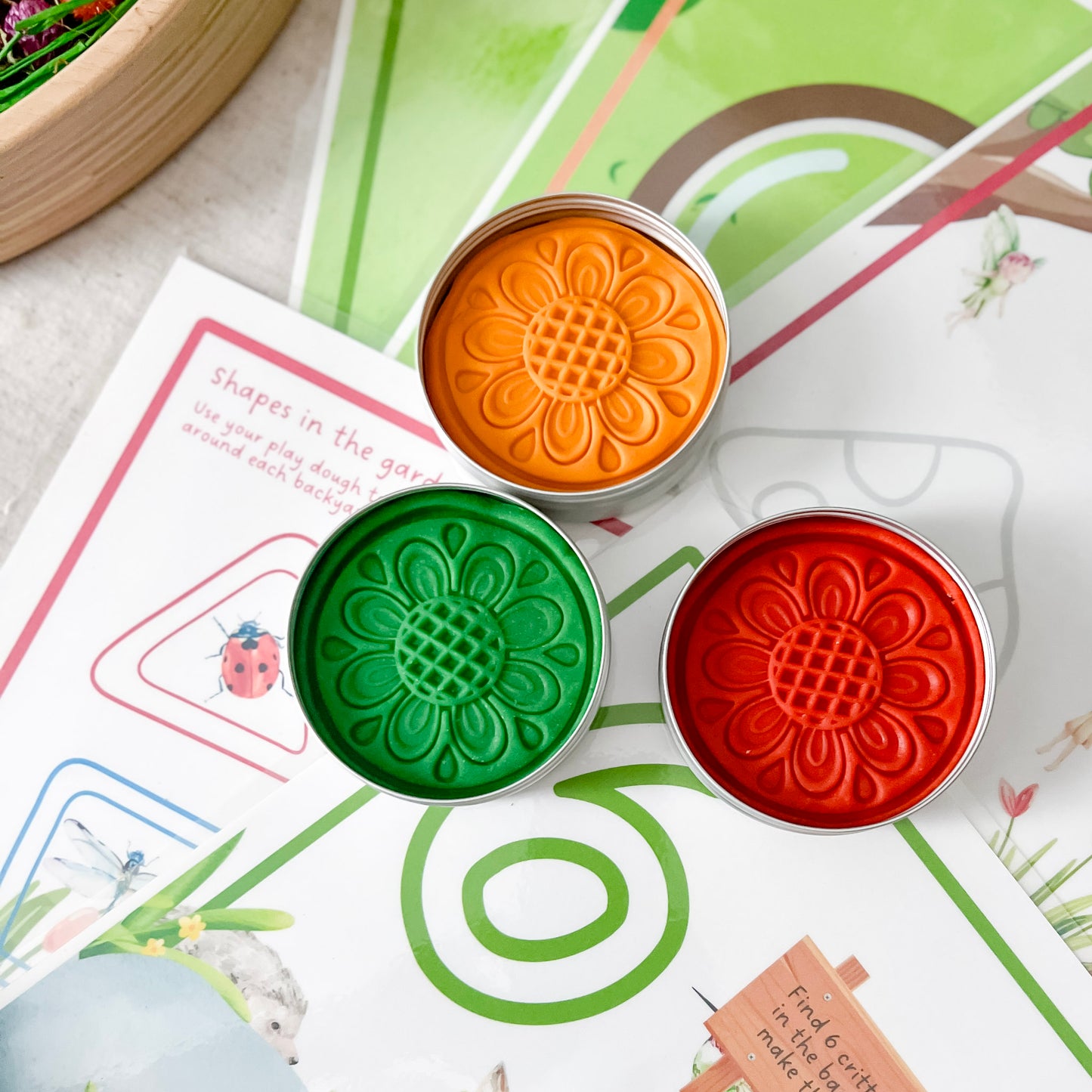 Backyard Wildlife Mold & Play