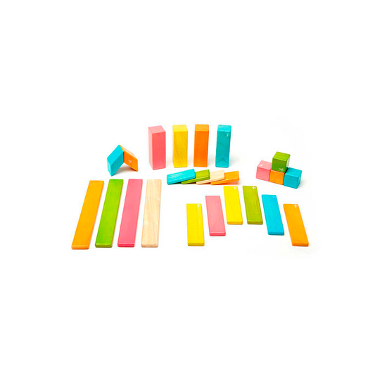 24-Piece Set <br>Magnetic Wooden Blocks <br>Tegu Classics - Chickadees Wooden Toys
