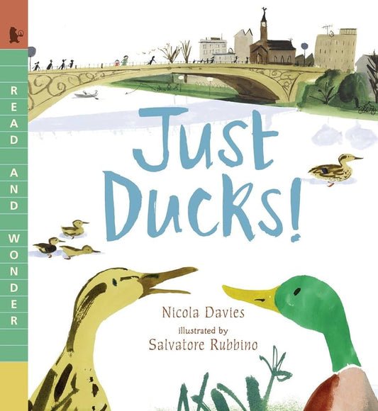 Ducks - Playful Minds Activity Box and Book
