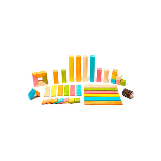 42-Piece Set <br>Magnetic Wooden Blocks <br>Tegu Classics - Chickadees Wooden Toys