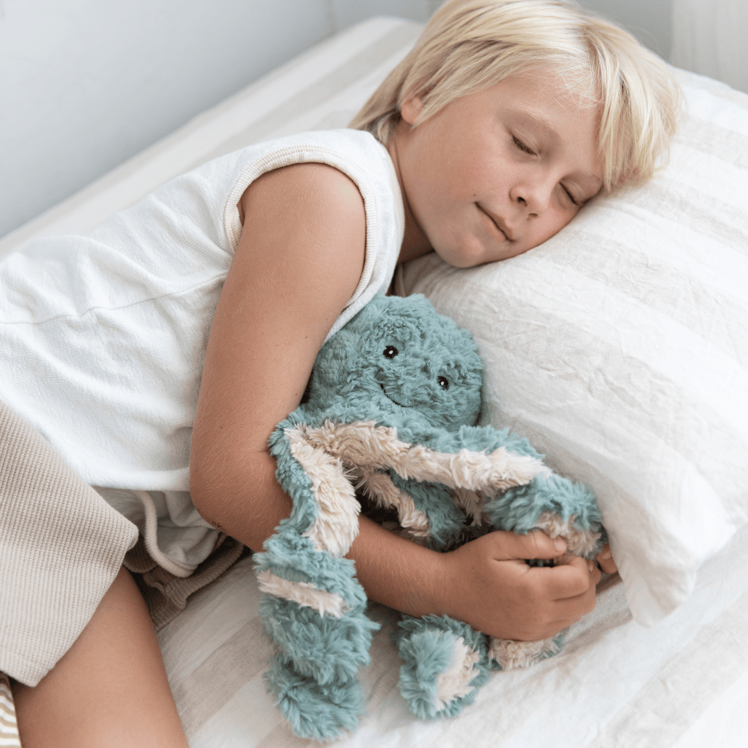 Ollie The Weighted Octopus - Chickadees Wooden Toys